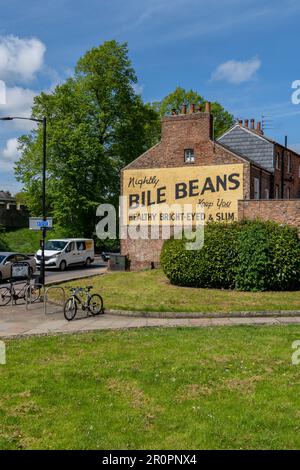 YORK, GROSSBRITANNIEN - 9. MAI 2023. Eine traditionelle Straßenszene in York, in der die klassische Galle-Bohnen-Werbetafel an der Seite eines lokalen Gebäudes gemalt ist Stockfoto