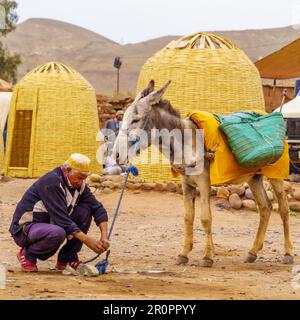 AIT Ourir, Marokko - 04. April 2023: Lokale Marktszene, mit einem Einheimischen, der seinen Esel bindet, in der Stadt Ait Ourir, Marokko Stockfoto