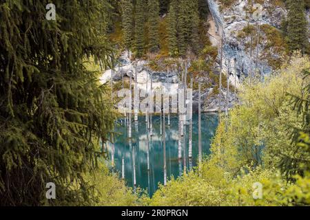 Tote untergetauchte Bäume im Kaindy (Kaiyndy)-See im Südosten Kasachstans. Stockfoto