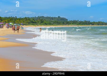 Brasilianischer Nordoststrand, Trancoso - Nativos Beach, Porto Seguro - Bahia State. Tropischer brasilianischer Strand im Sommer. Stockfoto