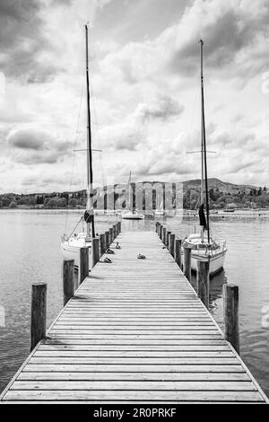 Ein Trio von Enten stellte sich vor, wie sie auf einem hölzernen Steg am Waterhead am Lake Windermere sonnenbaden, während zwei Yachten nebenan vor Anker liegen. Stockfoto