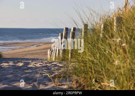 Eindrücke von der Nordsee im Sommer bei gutem Wetter Stockfoto