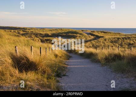 Eindrücke von der Nordsee im Sommer bei gutem Wetter Stockfoto