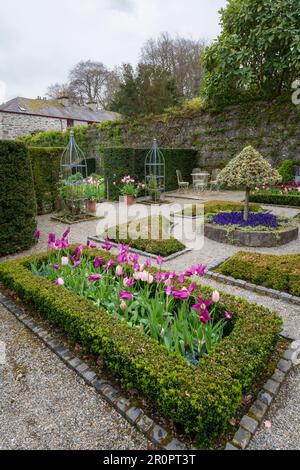 Plas Cadnant Hidden Gardens ein wunderschöner Garten in der Menai Bridge, Anglesey, Nordwales. Sie ist regelmäßig der Öffentlichkeit zugänglich und sehr interessant. Stockfoto