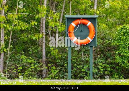 Ring des Lebens Stockfoto