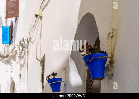 Blick auf farbenfrohe Pflanzentöpfe, Fenster und Fensterläden an einer typischen weißen Hauswand in Rabat, Marokko Stockfoto