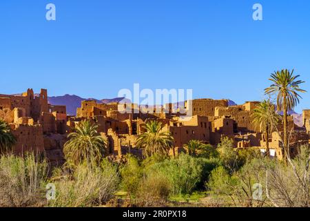 Blick auf alte Schlammhäuser und Palmen in Tinghir, das Tal des Todgha (Todra), im Zentrum Marokkos Stockfoto