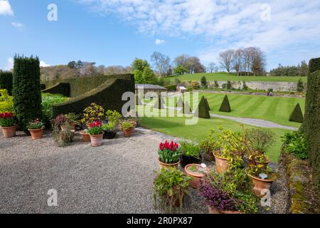 Plas Cadnant Hidden Gardens ein wunderschöner Garten in der Menai Bridge, Anglesey, Nordwales. Sie ist regelmäßig der Öffentlichkeit zugänglich und sehr interessant. Stockfoto