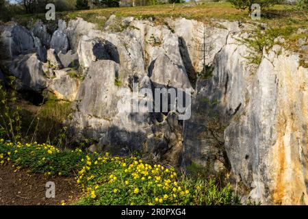 Das Fondry-des-chiens liegt im Naturpark Viroin-Hermeton in der Nähe von Nismes und ist ein einzigartiges Naturschutzgebiet. | Le Fondry des Chiens est un site nat Stockfoto