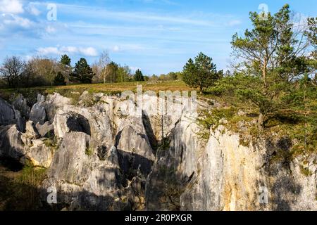 Das Fondry-des-chiens liegt im Naturpark Viroin-Hermeton in der Nähe von Nismes und ist ein einzigartiges Naturschutzgebiet. | Le Fondry des Chiens est un site nat Stockfoto