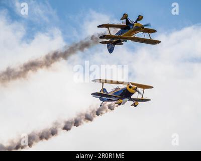 Die Trig Aerobatic Team über Biggin Hill Airport fliegen Stockfoto