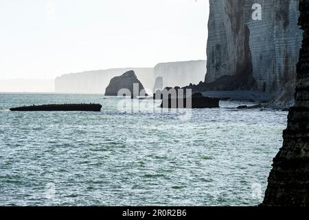 Etretat zwischen historischer Stadt, Kieselsteinstrand und Klippen an der cote d'Albatre - Amont Klippen | Etretat ville Histororique Entré Plage de Galets, fal Stockfoto