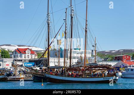 Alte Fischerboote werden für Walbeobachtungen verwendet, Hafen von Husavik, Husavik, Island Stockfoto