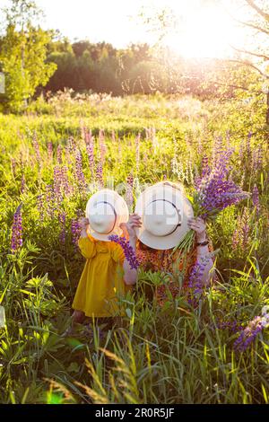 Wild Flowers Lupine In Summer Field Meadow Stockfoto