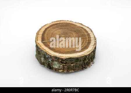 Ein Stück von einem Baum, der in einem Studio auf weißem Hintergrund geschnitten wurde. Holzstruktur und viele sichtbare kreisförmige Venen. Stockfoto