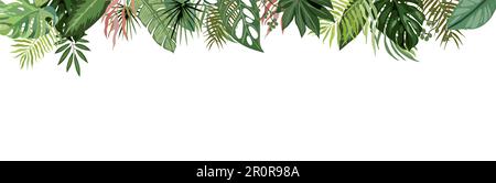 Tropische Blätter und Äste Vektorgrafiegrenze. Stock Vektor
