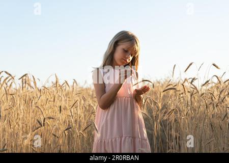 Ein Mädchen mit Weizenohren, ein Getreidefeld im Hintergrund mit wunderschönem Sonnenlicht. Reife Weizenfelder in der Natur im Sommer. Stockfoto