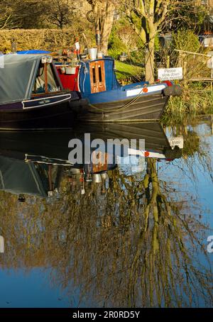 Die Maltings die Anlegestelle am River Stort (Lee & Stort Kanal) vier Kanalboote erwarten ihre Passagiere an einem reflektierenden Dezembertag Stockfoto