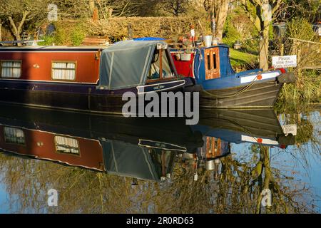 Die Maltings die Anlegestelle am River Stort (Lee & Stort Kanal) vier Kanalboote erwarten ihre Passagiere an einem reflektierenden Dezembertag Stockfoto