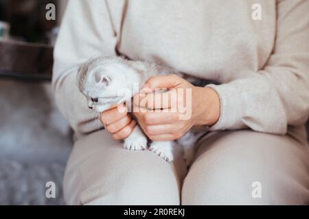 Eine Frau in wunderschönen beigen Kleidern hält ein kleines süßes Kätzchen auf den Knien Stockfoto