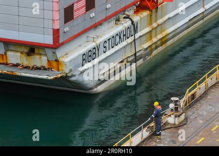 Falmouth, Cornwall, Großbritannien. 9. Mai 2023 Unterbringungsschiff Bibby Stockholm, das vom Schlepper Sea Dream gezogen wurde, Kommt aus Genua (Italien) in Falmouth in Cornwall an, um Wartungsarbeiten und Sicherheitsinspektionen im Trockendock durchzuführen, bevor er im Juni nach Portland Port nahe Weymouth in Dorset verlegt wird, wo er bis zu 500 Asylbewerber für 18 Monate unterbringen wird. Bildnachweis: Graham Hunt/Alamy Live News Stockfoto