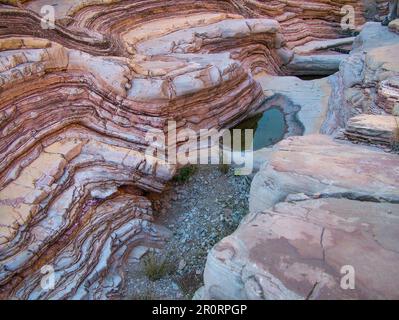 Stratified Canyon Wall bei Ernst Tinaja, Big Bend National Park, Texas Stockfoto