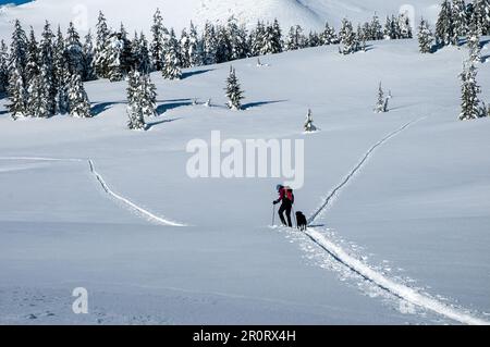 Eine Frau auf dem Lande, die unter Broken Top Mountain in Zentral-Oregon Ski fährt. Stockfoto