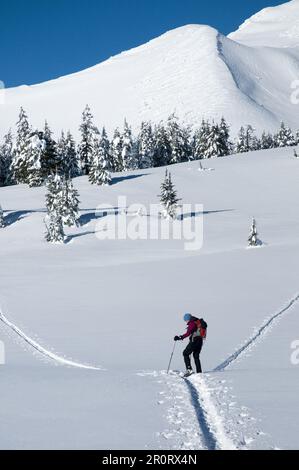 Eine Frau auf dem Lande, die unter Broken Top Mountain in Zentral-Oregon Ski fährt. Stockfoto