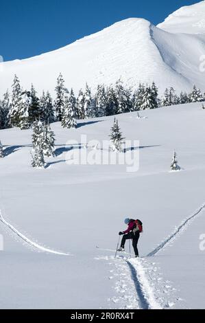 Eine Frau auf dem Lande, die unter Broken Top Mountain in Zentral-Oregon Ski fährt. Stockfoto