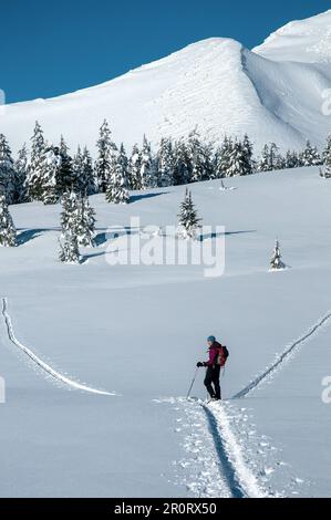 Eine Frau auf dem Lande, die unter Broken Top Mountain in Zentral-Oregon Ski fährt. Stockfoto