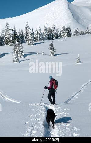 Eine Frau auf dem Lande, die unter Broken Top Mountain in Zentral-Oregon Ski fährt. Stockfoto