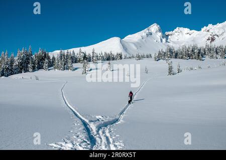 Eine Frau auf dem Lande, die unter Broken Top Mountain in Zentral-Oregon Ski fährt. Stockfoto