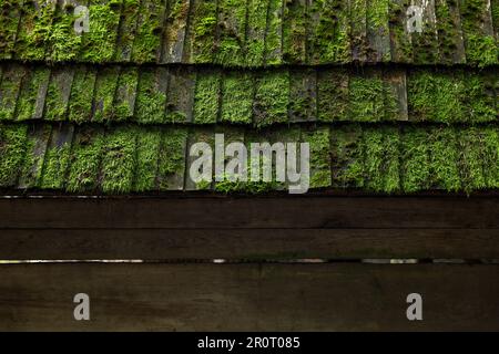 Altes Holzdach mit grünem Moos Stockfoto