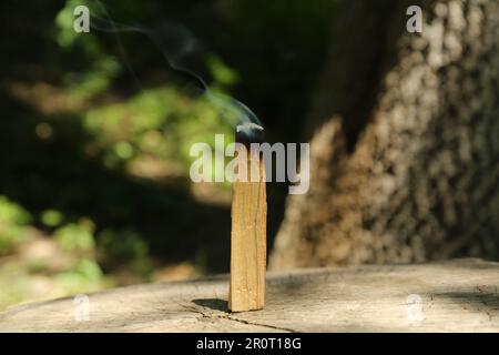 Schwelender palo santo klebt im Freien auf Holzstumpf Stockfoto