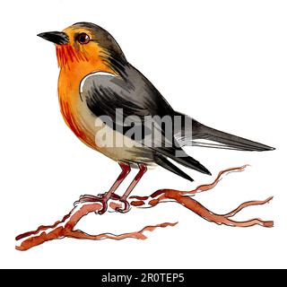 Vogel auf einem Ast. Handgezeichnete Tinte und Aquarelle auf Papier Stockfoto