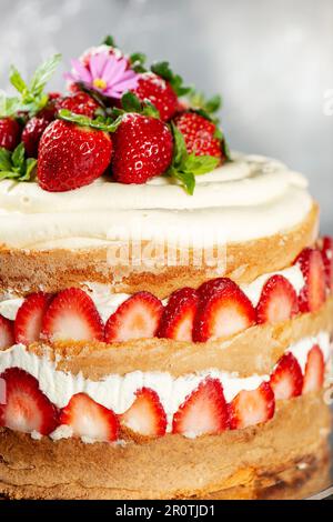 Victoria Sponge Cake mit köstlicher Chantilly Creme und frischen Erdbeeren Stockfoto