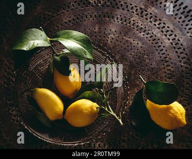 Zitronen von Menton Stockfoto