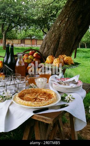 Gedeckter Tisch im freien Stockfoto