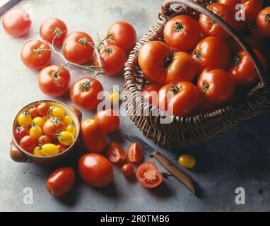 Tomaten Stockfoto