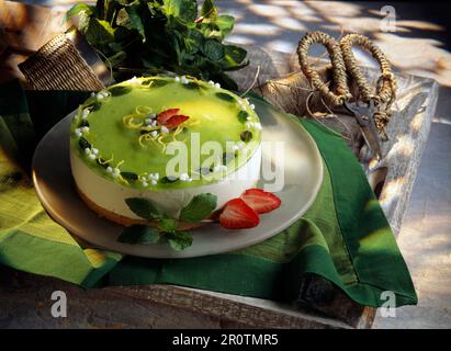 Fromage Blanc und Minze Kuchen Stockfoto