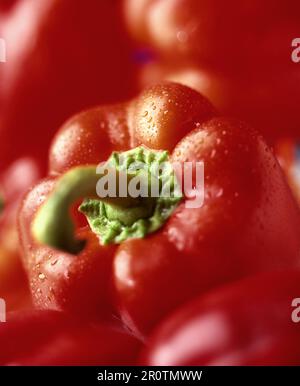 Rote Paprika Stockfoto