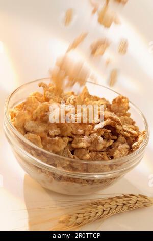 Schüssel Müsli Stockfoto