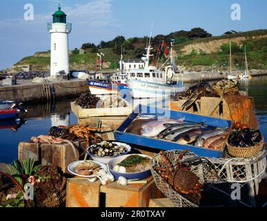 Fisch und Meeresfrüchte Marktstand in der Belle-Ile Bretagne Stockfoto