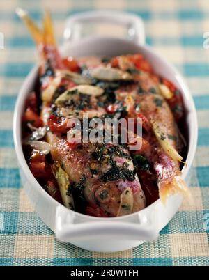 Rotbarbe mit Fenchel und Tomaten Stockfoto