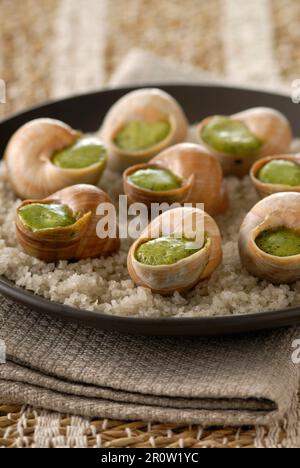 Schnecken aus der Bourgogne Stockfoto