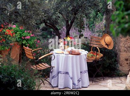 Ein Frühstückstisch vor einem Olivenbaum und Lavendel in der Provence, Frankreich Stockfoto