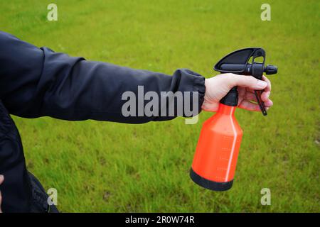 Person, die eine Sprühflasche in der Hand hält. Sprühen von Wasser mit Sprühdiffusor. Gartenarbeit. Stockfoto