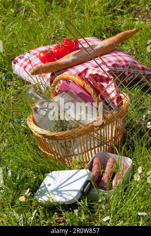 Picknickkorb im Gras und Fleisch zum Grillen Stockfoto