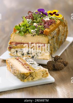 Roquefort, Bleu des Causses und Pérail Terrine Stockfoto