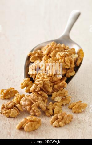 Scoopful geschälte Walnüsse Stockfoto